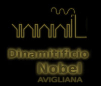logo museo nobel